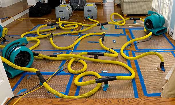 Professional Storm Water Damage Restoration technician working in Catawissa, PA